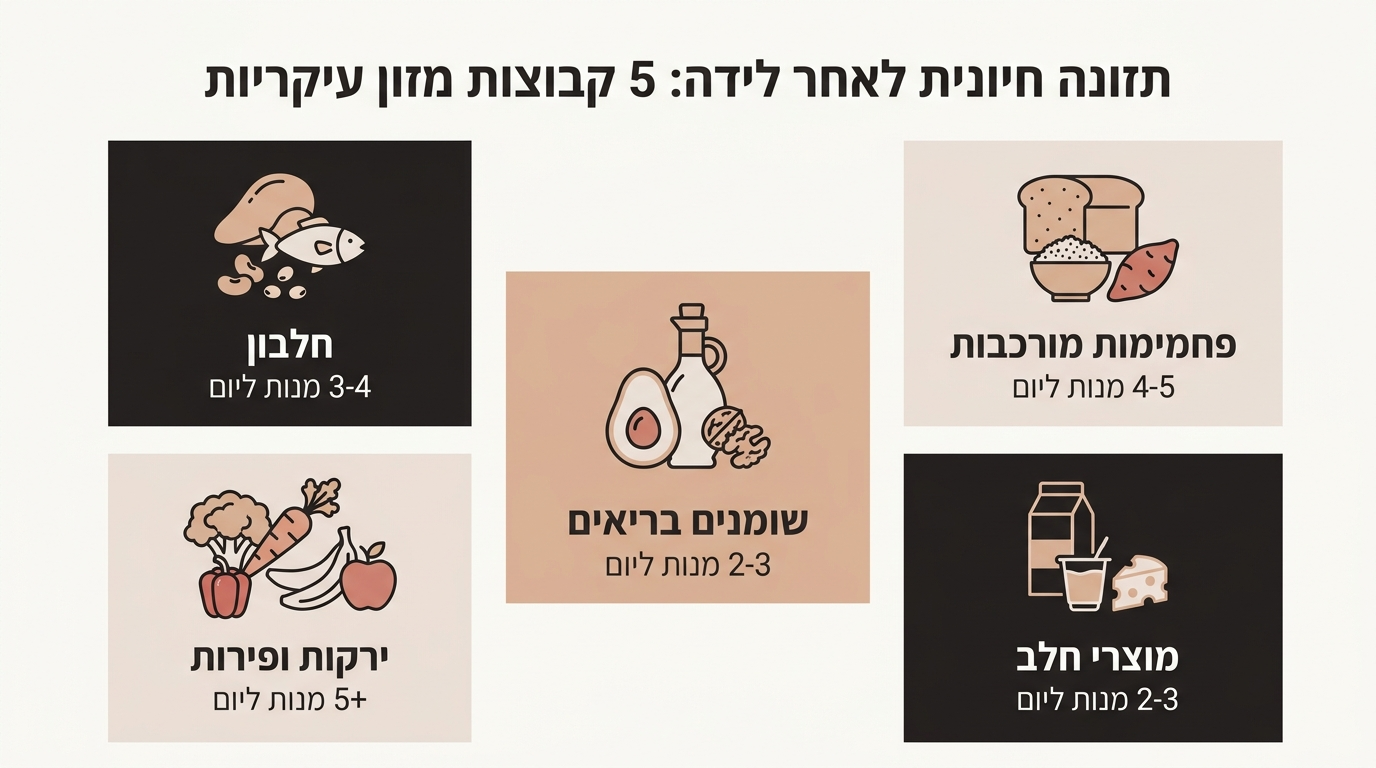 השוואת קבוצות מזון חיוניות ליולדת – טבלה מקצועית