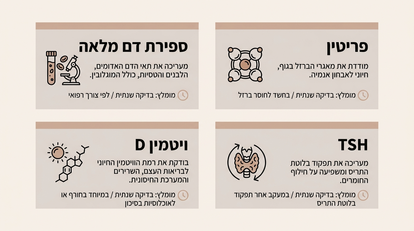 מדדים מרכזיים לעקוב אחריהם בבדיקות דם לאחר לידה